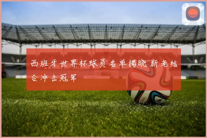 西班牙世界杯球员名单揭晓 新老结合冲击冠军