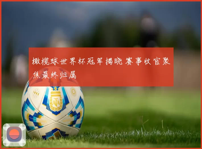 橄榄球世界杯冠军揭晓 赛事收官聚焦最终归属