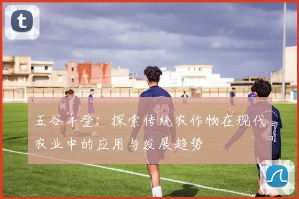 五谷丰登：探索传统农作物在现代农业中的应用与发展趋势