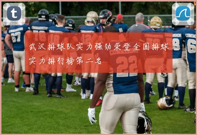 武汉排球队实力强劲荣登全国排球实力排行榜第二名