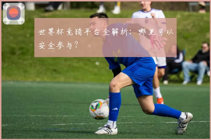 世界杯竞猜平台全解析：哪里可以安全参与？