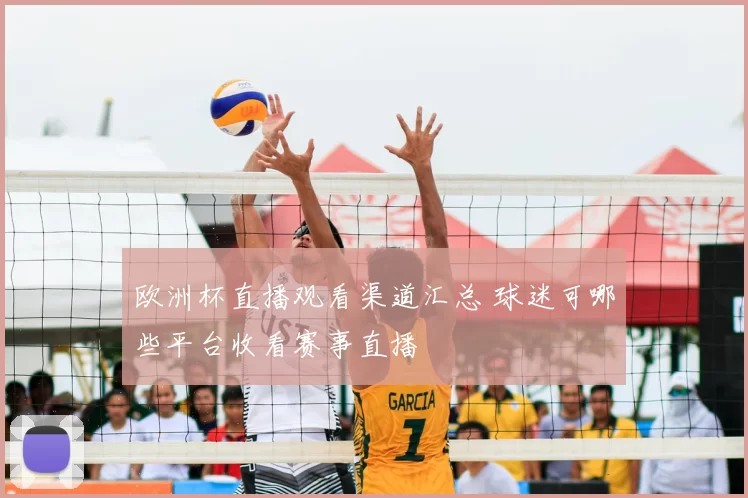 欧洲杯直播观看渠道汇总 球迷可哪些平台收看赛事直播