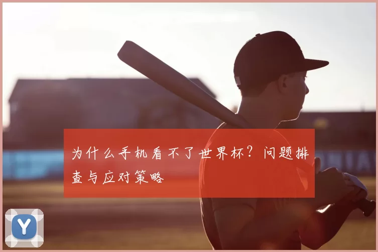 为什么手机看不了世界杯？问题排查与应对策略