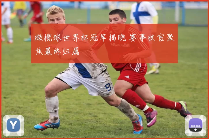 橄榄球世界杯冠军揭晓 赛事收官聚焦最终归属