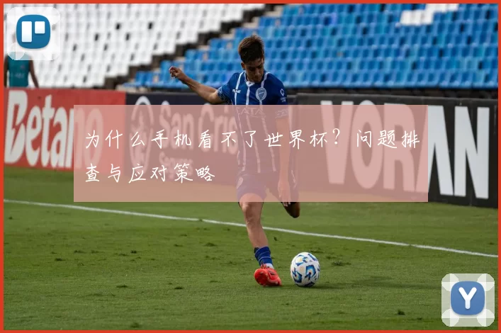 为什么手机看不了世界杯？问题排查与应对策略