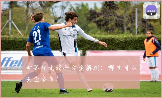 世界杯竞猜平台全解析:哪里可以安全参与?