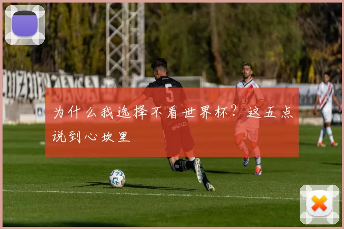 为什么我选择不看世界杯？这五点说到心坎里