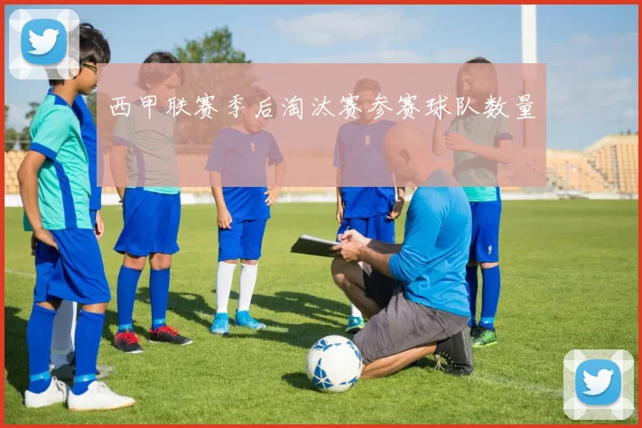 西甲联赛季后淘汰赛参赛球队数量