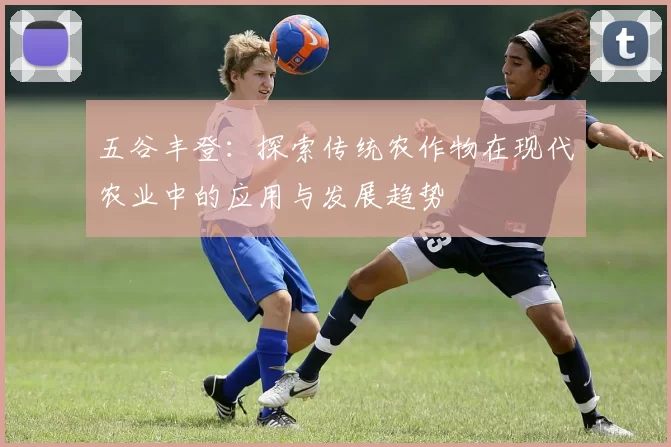 五谷丰登：探索传统农作物在现代农业中的应用与发展趋势