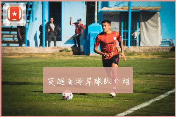 英超南海岸球队介绍