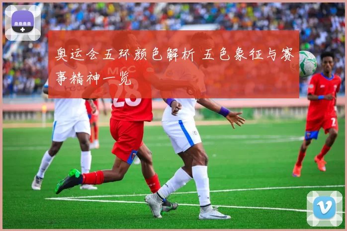 奥运会五环颜色解析 五色象征与赛事精神一览