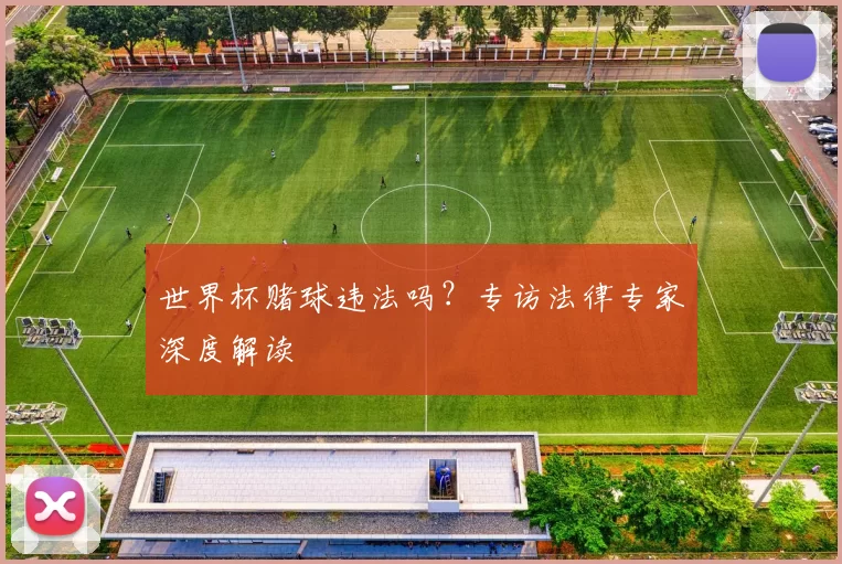 世界杯赌球违法吗?专访法律专家深度解读
