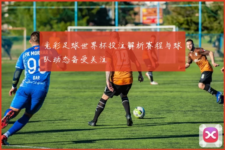 竞彩足球世界杯投注解析赛程与球队动态备受关注