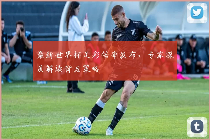最新世界杯足彩倍率发布,专家深度解读背后策略