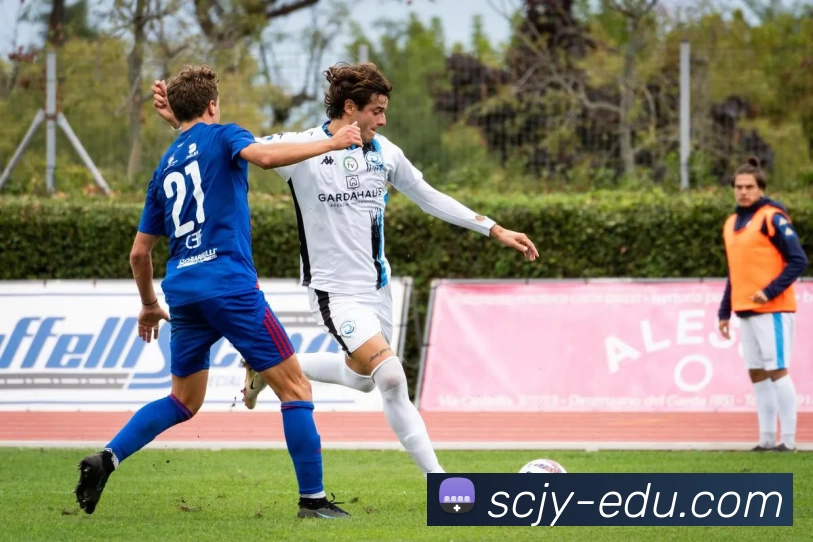 App Interface Preview