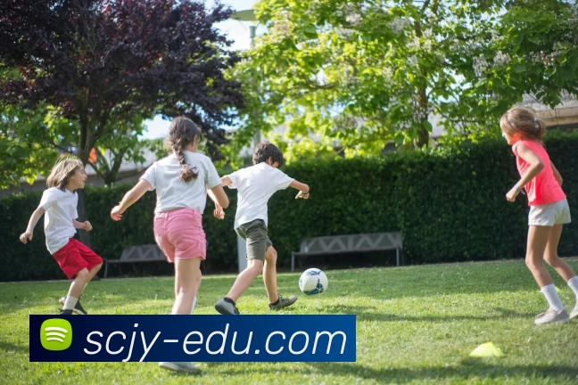 华体会体育APP 封面图